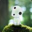 Kodama