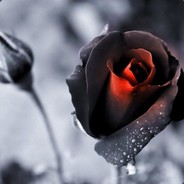 Róża - steam id 76561198185643585