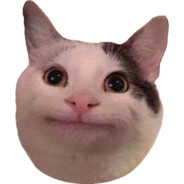 Polite Cat