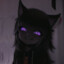 ***night.cc