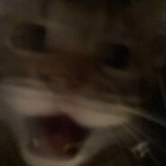 Teddie#**********.com#********