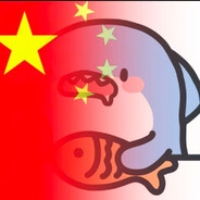 鸠泣寒枝情难书