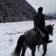 游戏天才杨宇婷