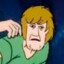 Shaggy Rogers