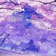 君兮倩兮第二共享小号