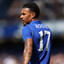 MR17