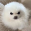 hezi