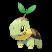 Turtwig_Naetor