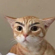 双汇王中王