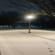 キャンディーア