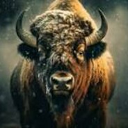 BisoNte°