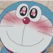 阳阳的浅枫鱼翅