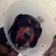 [<O>]Thunder