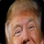 Trumps flawless toupet