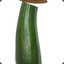 CptZucchini