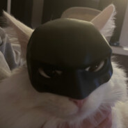 Swifts - steam id 76561198447431969
