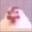 rouster