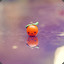 Little_Orange