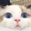 An