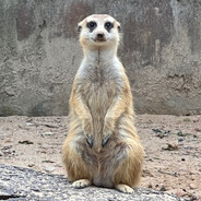 HakunaMatata