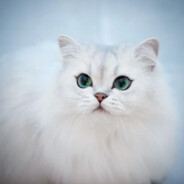 call me isen’s  daddy