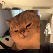 meteoric shower (烧烤)