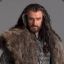 Thorin Oakenshield