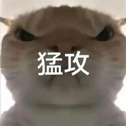 神券拼好好饭