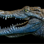 heky - steam id 76561198114946847