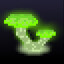 Virescent Fungi