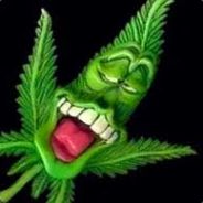 =M^4A^1D^4=^4DiMaS