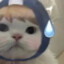 小夏的主人