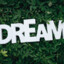 dream