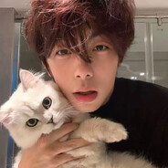 你见到我的猫了m