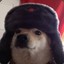 Soviet Doge