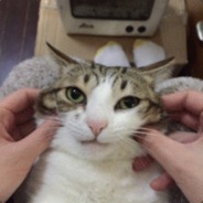 韩喵喵喵喵喵喵喵喵喵