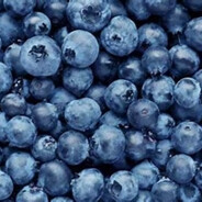 Blueberry Fruit