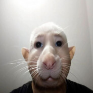 НАТАША ДВА БАША