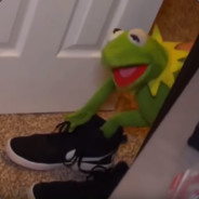 KrokkieNator's Avatar