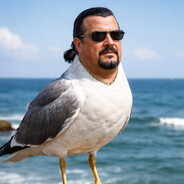 Steven Seagull