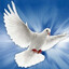 Espirito Santo