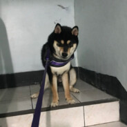 少了一件牛仔褲