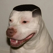 ꧁༺ A-dilett ༻꧂