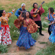 ЦЫГАНСКИЕ ФОКУСЫ