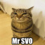 mr SVO