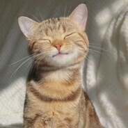 狗儿要唱狗儿歌