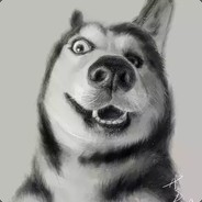 菜鸟一枚（略有磨损）