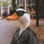 agent duckman