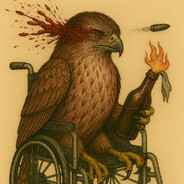 Hawk Shooter
