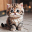 GatitoMiauMiau